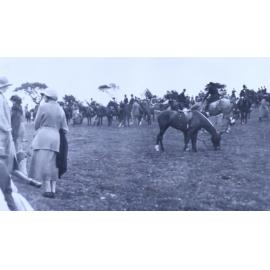 Meet Devon, Somerset stag hounds 