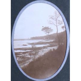 Shoreline/beach scene