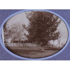 View of a house with large trees in the foreground