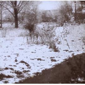 Snow on the garden
