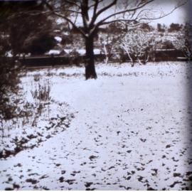 Snow on the garden