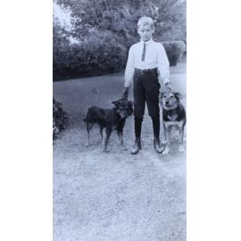 Young boy with two pet dogs