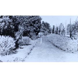 Gardens beside the tennis court, Saumarez Homestead