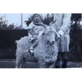 Jill Cullen - 2 years and 5 months 