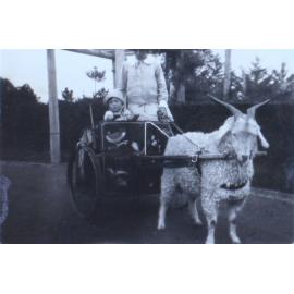 Jill Cullen - 2 years and 5 months 