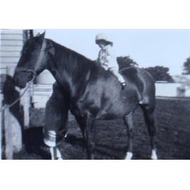 Jill Cullen - 2 years and 5 months 