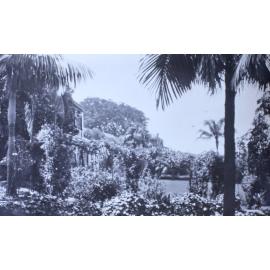 Unknown home and gardens