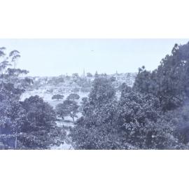 View of an unknown town through the trees