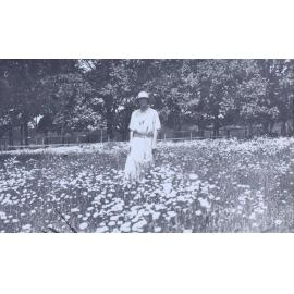 Unknown woman in a field of flowers