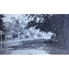 Unknown gardens beside a driveway