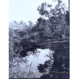 Trout stream, Crookwell 