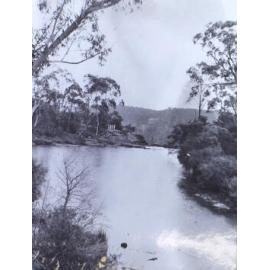 Trout stream, Fitzroy Falls 