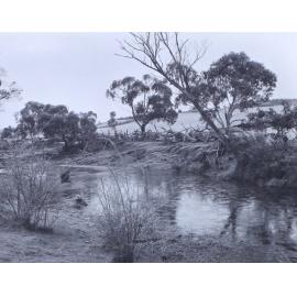 Brook scene, Crookwell 