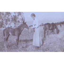 Unidentified woman with a foal