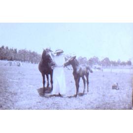 Unidentified woman with a mare and foal
