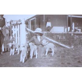 Unidentified man and woman with four lambs