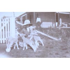 Unidentified woman with five pet lambs