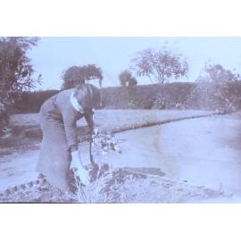 Unidentified woman picking flowers