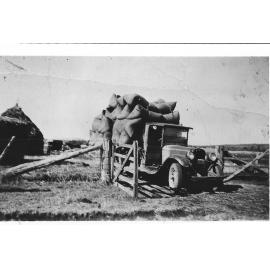 Oats loaded on a late 1920s Chevrolet truck and on the way to market from the Solomon family farm at Furracabad, early 1930s.