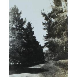 Driveway N.E.U.C. October 1938 O.J.A.