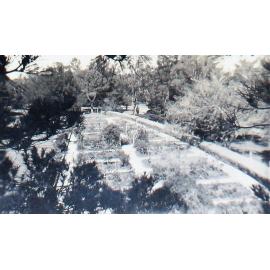 The Rose-Garden NEUC, at Booloominbah 