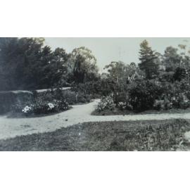 Rose Garden Booloominbah