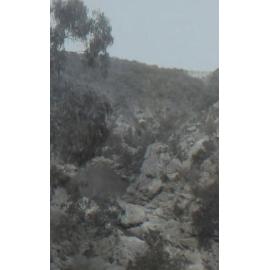 Scenery - Gara River