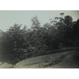 Southern Lawn of Booloominbah