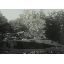 View of rose garden from south balcony, Booloominbah