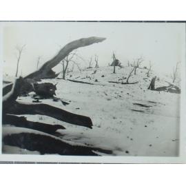 Snowfields near Guyra