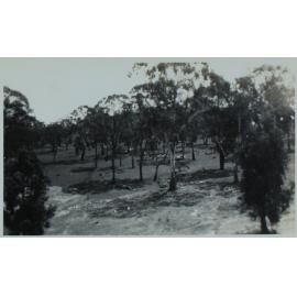 Air raid trenches to the north of Booth Block