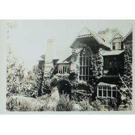 Booloominbah covered in creeper and ivy