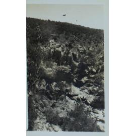 Blue Hole Armidale, Gara River, 1943