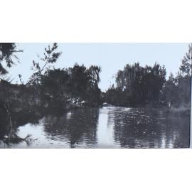 At Gara - "The Willows"  