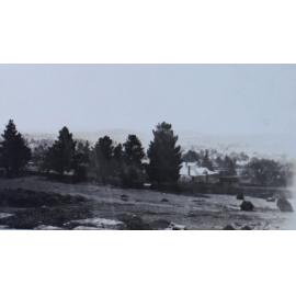 At Tara [?] - Matron's Picnic, 1930  