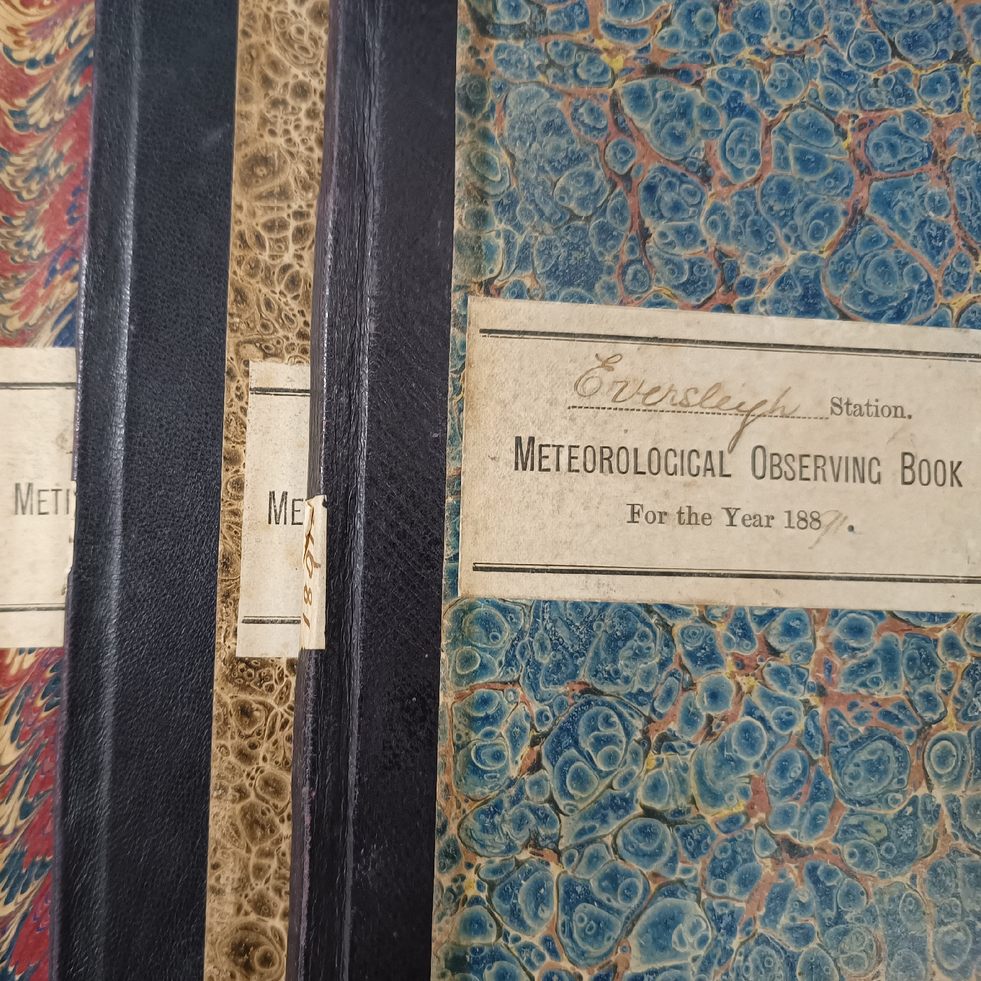 Algernon Belfield Collection