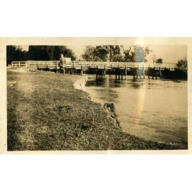 Unidentified Bridge, possibly Albury