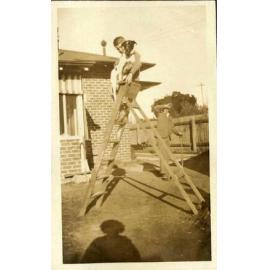 Kingsford Smith Album, A Dog and a Boy on a Ladder