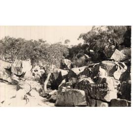 Wallaby Rocks, Uralla