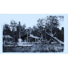Sawmill on lower Richmond: Randle’s Sawmill near Meerschaum Vale