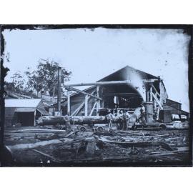 Timber Mill, Richmond or Brunswick River districts