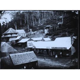 Gold mining Town, upper Clarence district