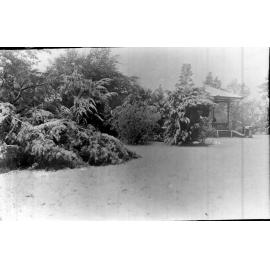 Central Park, snow and the rotunda, 1917