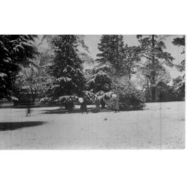 Central Park, snow and five young men, 1917