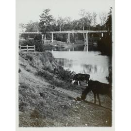 Fawcett’s bridge, Lismore
