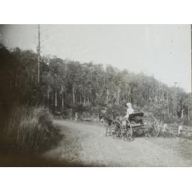 “On Naughton’s Gap”, first Lismore - Casino road