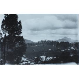 Tweed River Valley, looking towards Mt. Warning