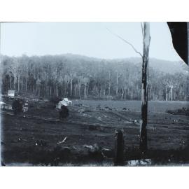 Settler’s farm in big scrub, Tweed-Richmond district N.S.W.