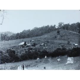 Rural scene, Tweed or Richmond River district, 19th century