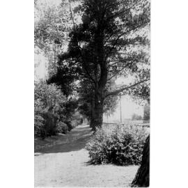 Central Park, Armidale, Faulkner Street side, 1920
